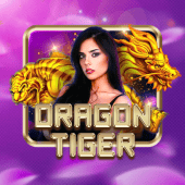 Dragon Tiger at Playtime Gameplay
