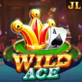 Wild Ace at Playtime Gameplay